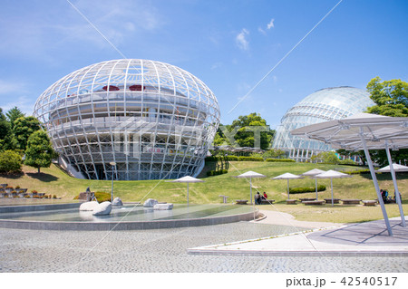 山梨県　笛吹川フルーツ公園 42540517