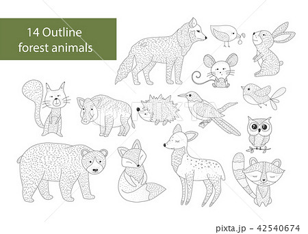 Big set of hand drawn forest illustraitions with color cartoon animals. Big set of hand drawn forest illustraitions with color cartoon animals. 42540674