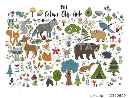 Big set of hand drawn forest illustraitions with color cartoon animals. 42540699