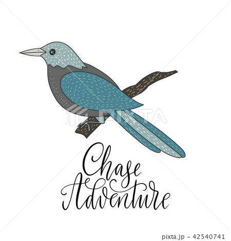 Cartoon nature vector card with a bird and hand drawn lettering. Cartoon nature vector card with a bird and hand drawn lettering. 42540741
