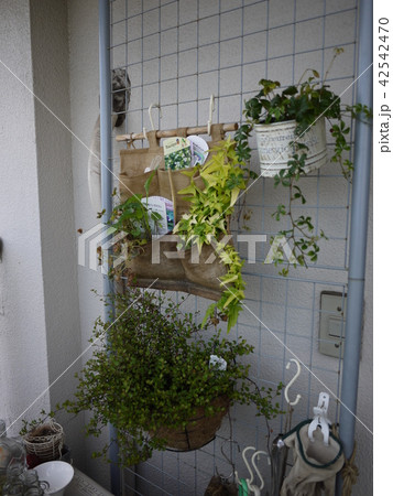 ガーデニング 42542470