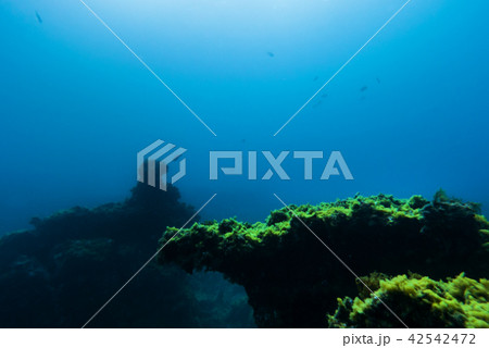 Underwater rocks and cave. Aquatic life background 42542472