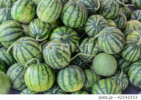 Close-up of watermelon for sale 42542553