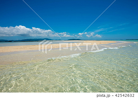 浜島 浜島 42542632