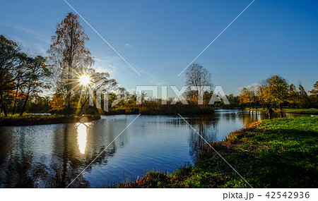 Sunset on the lake in autumn 42542936