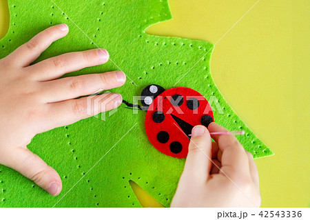 Child making felt soft toy of green leaf and red ladybag . Child DIY activity. Close-up. Children Child making felt soft toy of green leaf and red ladybag . Child DIY activity. Close-up. Children 42543336