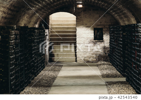 Old wine cellar 42543540