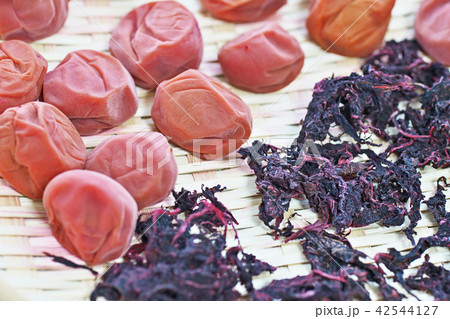 梅干し　（土用干し） 42544127