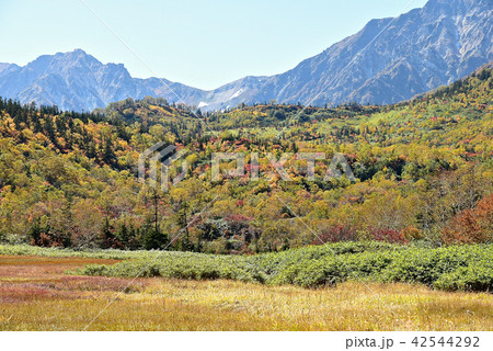 山の紅葉 42544292