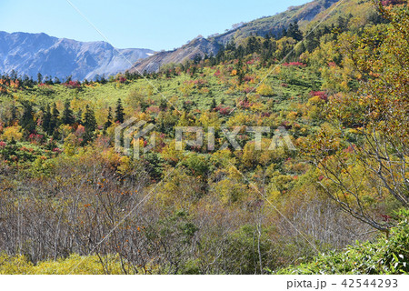 紅葉の山 42544293