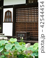 三室戸寺 42544454