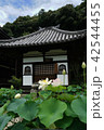 三室戸寺 42544455