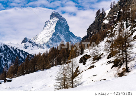 View of beautiful snowy Matterhorn Peak at Zermatt View of beautiful snowy Matterhorn Peak at Zermatt 42545205