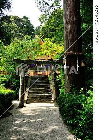 高鴨神社 高鴨神社 42546235