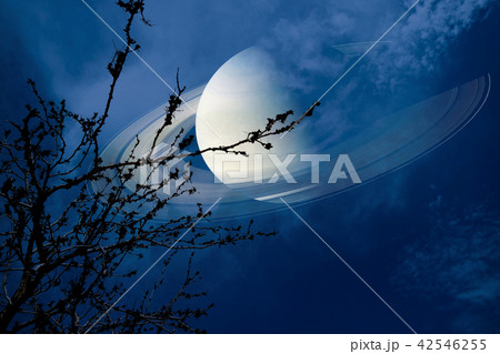 Saturn near earth sky silhouette dry branch tree 42546255