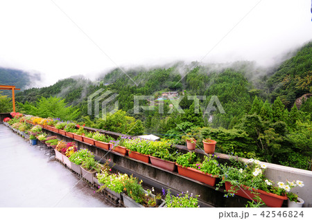 祖谷渓の山里 かずら橋で有名な徳島県三次市の景勝地 祖谷渓の山里 かずら橋で有名な徳島県三次市の景勝地 42546824