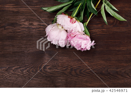 bouquet of pink peonies 42546971