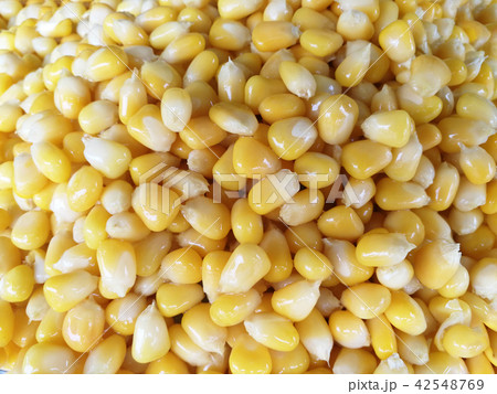 Sweet corn kernels 42548769