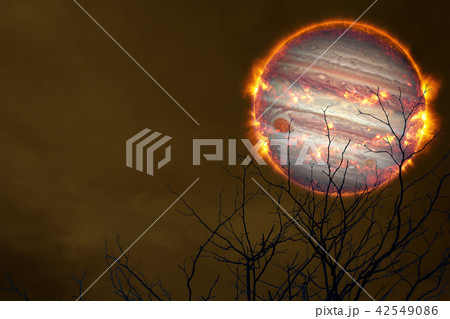 Explosive jupter back silhouette dry tree and sky 42549086