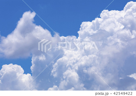 夏空 夏雲 夏空 夏雲 42549422