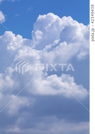 夏空　夏雲 42549439