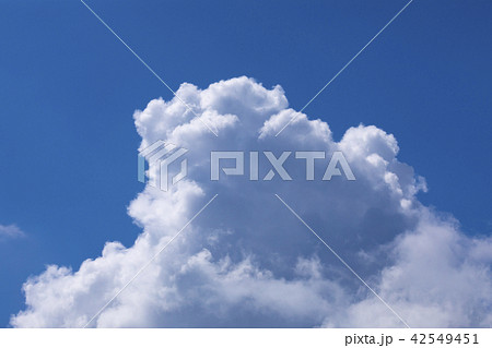 夏空 夏雲 夏空 夏雲 42549451