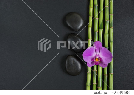 Zen stones, orchid flower and bamboo 42549600