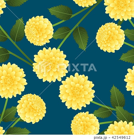 Yellow Dahlia on Indigo Blue Background Yellow Dahlia on Indigo Blue Background 42549612