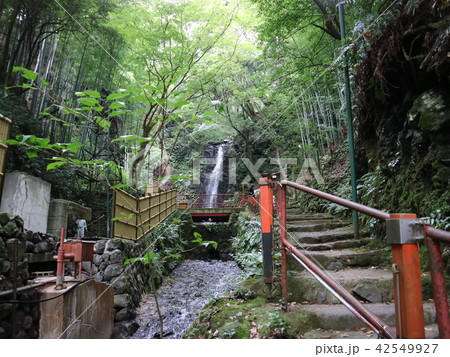 不動滝 不動滝 42549927