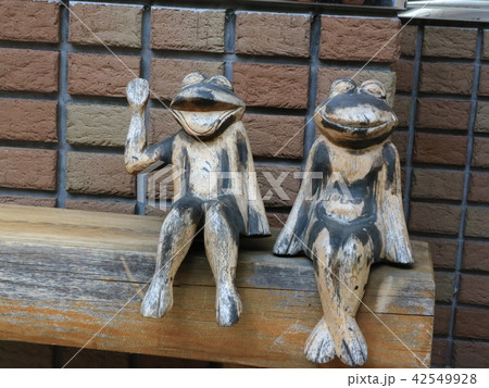 カエルさんカップルのデート 42549928