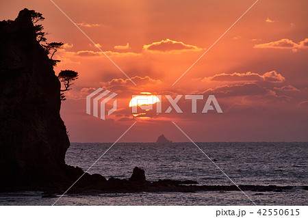 コッチ海水浴場 コッチビーチ 泰安 42550615