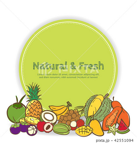 Tropical fruits cute banner background template 42551094
