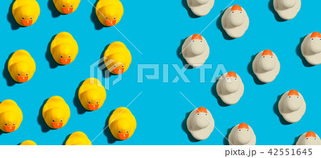 Rubber ducks in different directions concept 42551645