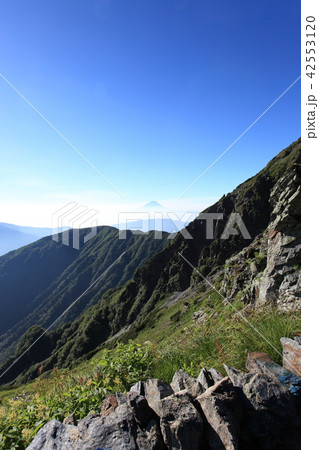 北岳の尾根から見る富士山 42553120