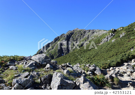北岳の尾根からみる北岳山頂 北岳の尾根からみる北岳山頂 42553121