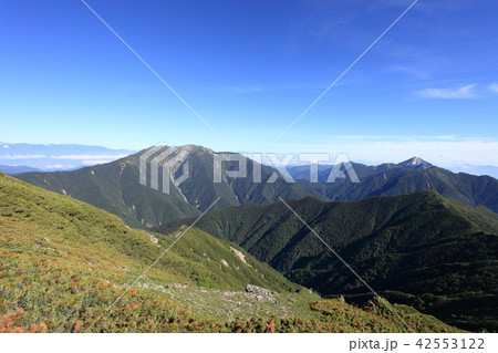 北岳の尾根から見る仙丈ヶ岳と甲斐駒ケ岳 42553122