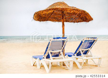 Focus on parasol. Sunbeds on snow-white sand Focus on parasol. Sunbeds on snow-white sand 42553314