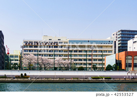 《東京都》 都市風景・隅田川クルージング 《東京都》 都市風景・隅田川クルージング 42553527