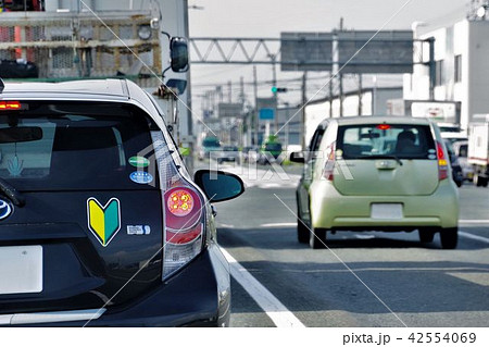 初心者マークをつけた車 初心者マークをつけた車 42554069