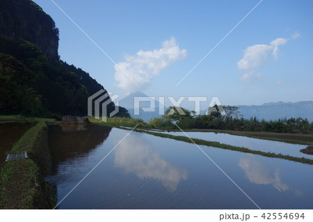 開聞岳　池田湖　かいもんだけ　旅行　指宿　南九州　雲 42554694