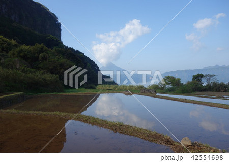 開聞岳　池田湖　かいもんだけ　旅行　指宿　南九州　雲 42554698