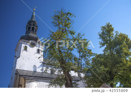 Alexander Nevsky Cathedral 42555809