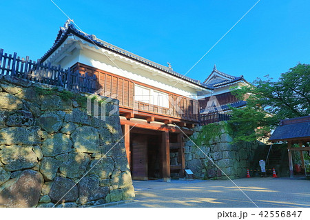 上田城 東虎口櫓門 上田城 東虎口櫓門 42556847