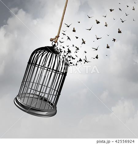 Freedom Idea 42556924