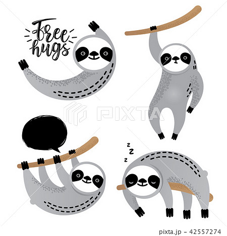 Cute Vector Sloth Bear Animal Setのイラスト素材 42557274 Pixta
