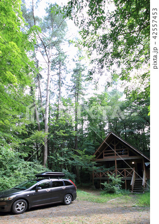 キャンプ場(森の中のバンガロー) キャンプ場(森の中のバンガロー) 42557453