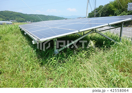 雑草に囲まれた太陽光発電所 雑草に囲まれた太陽光発電所 42558064