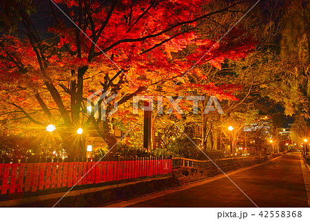 京提灯 白峰白木中 秋草 2対