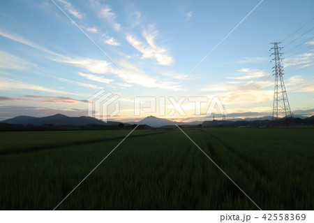 筑波山の夕日、夏 石岡市染谷付近から 筑波山の夕日、夏 石岡市染谷付近から 42558369