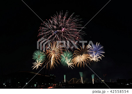 2018 おいでん祭り　花火大会 42558554